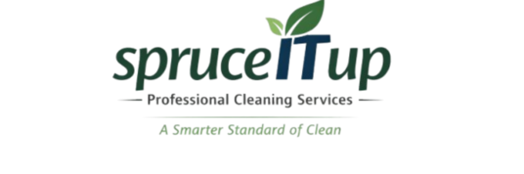 spruceITup Professional Cleaning Services
